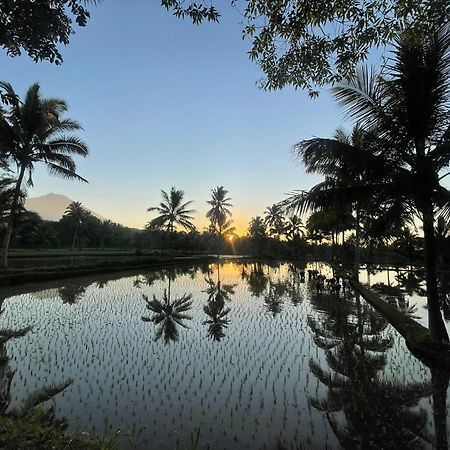 Tereng Wilis Bungalows Tetebatu Exteriér fotografie