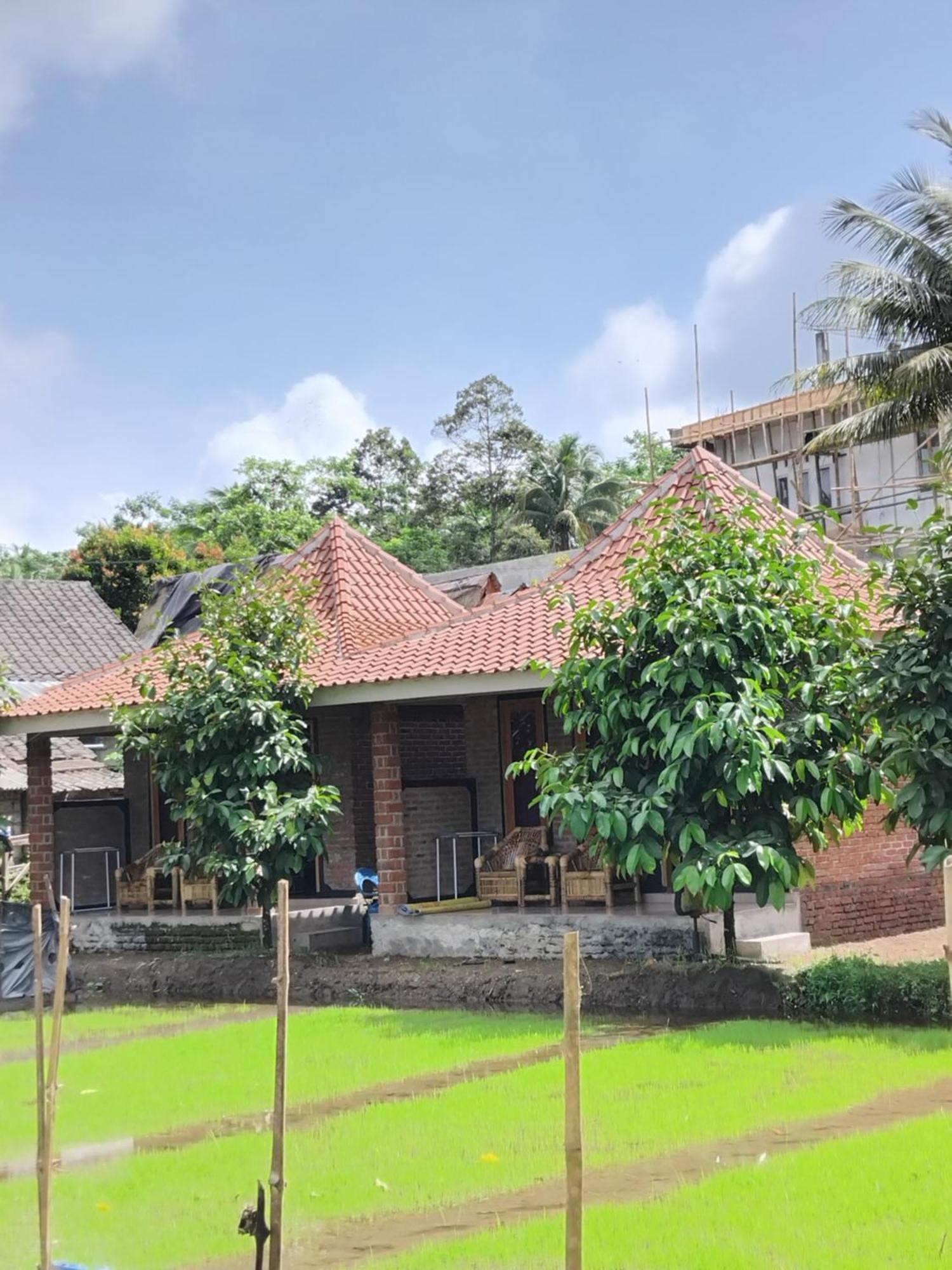 Tereng Wilis Bungalows Tetebatu Pokoj fotografie