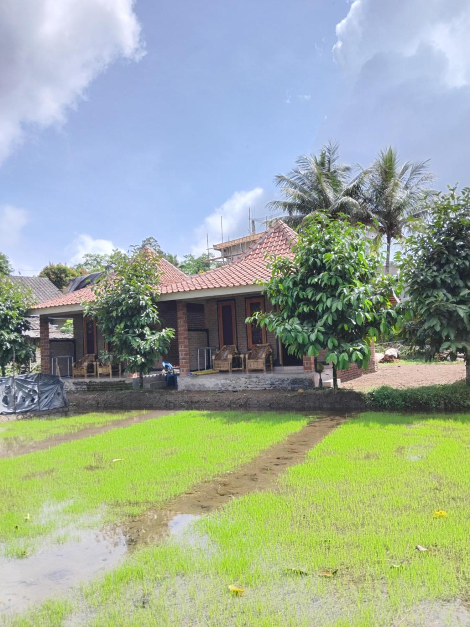 Tereng Wilis Bungalows Tetebatu Exteriér fotografie