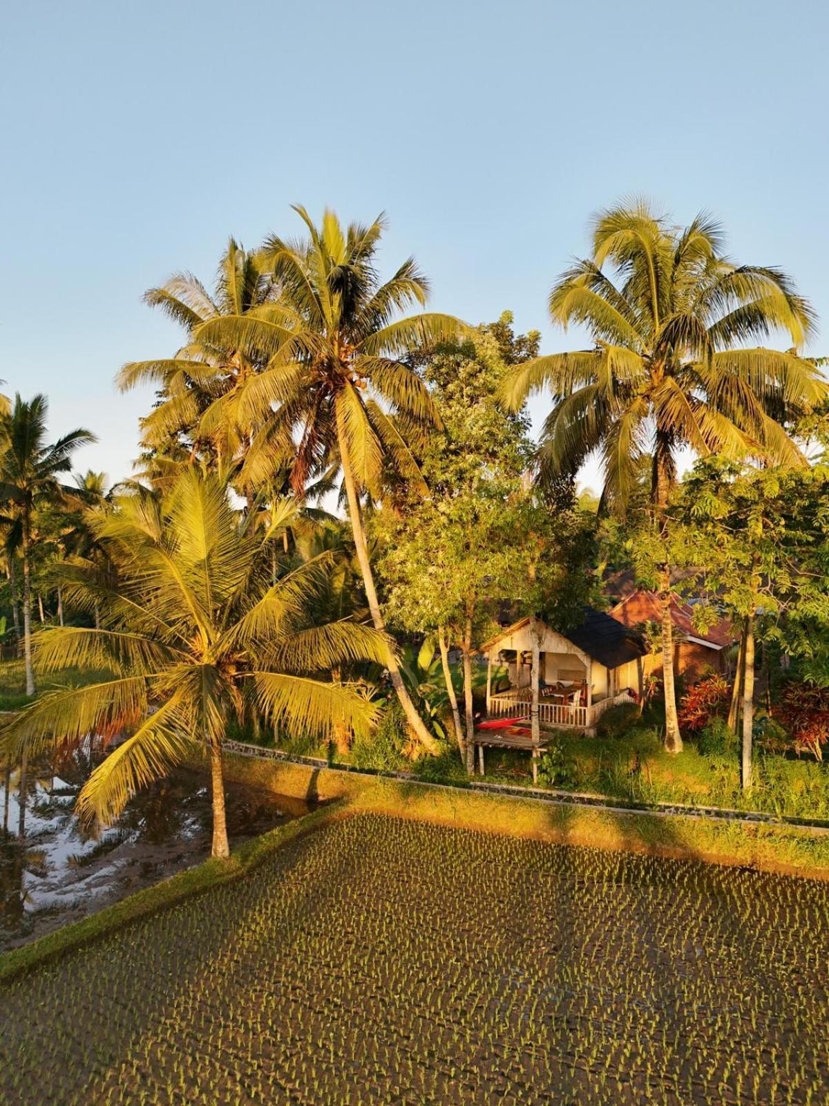 Tereng Wilis Bungalows Tetebatu Exteriér fotografie