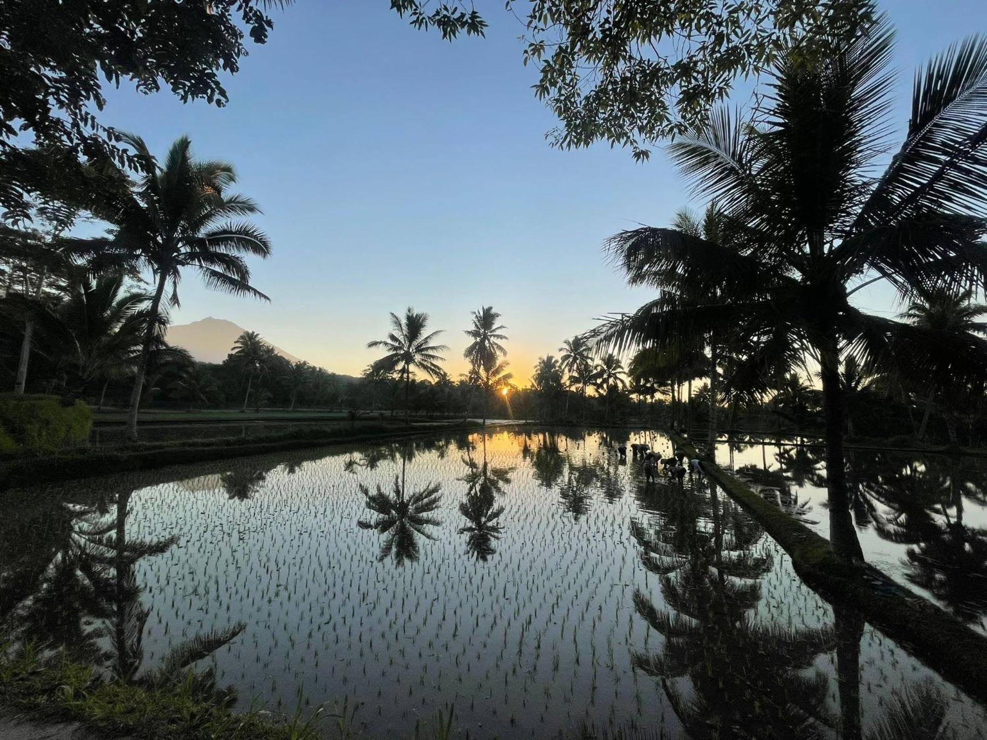 Tereng Wilis Bungalows Tetebatu Exteriér fotografie