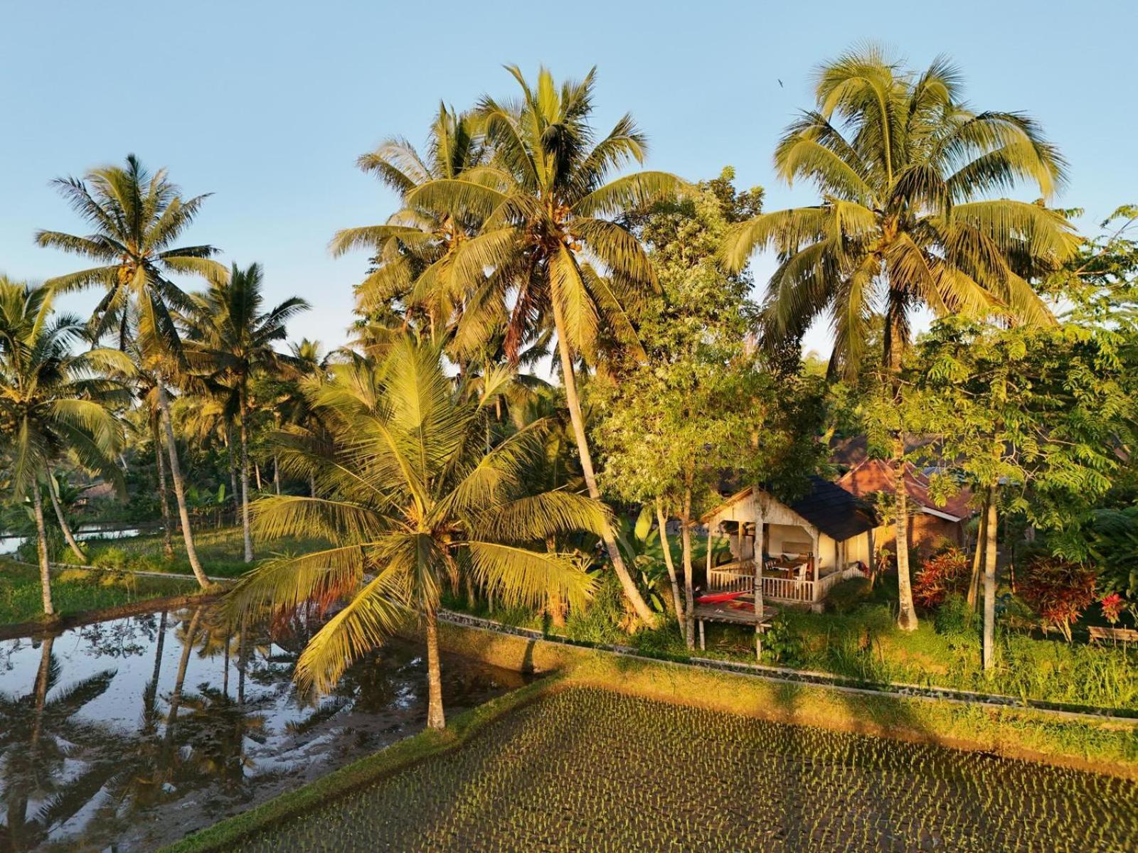 Tereng Wilis Bungalows Tetebatu Exteriér fotografie
