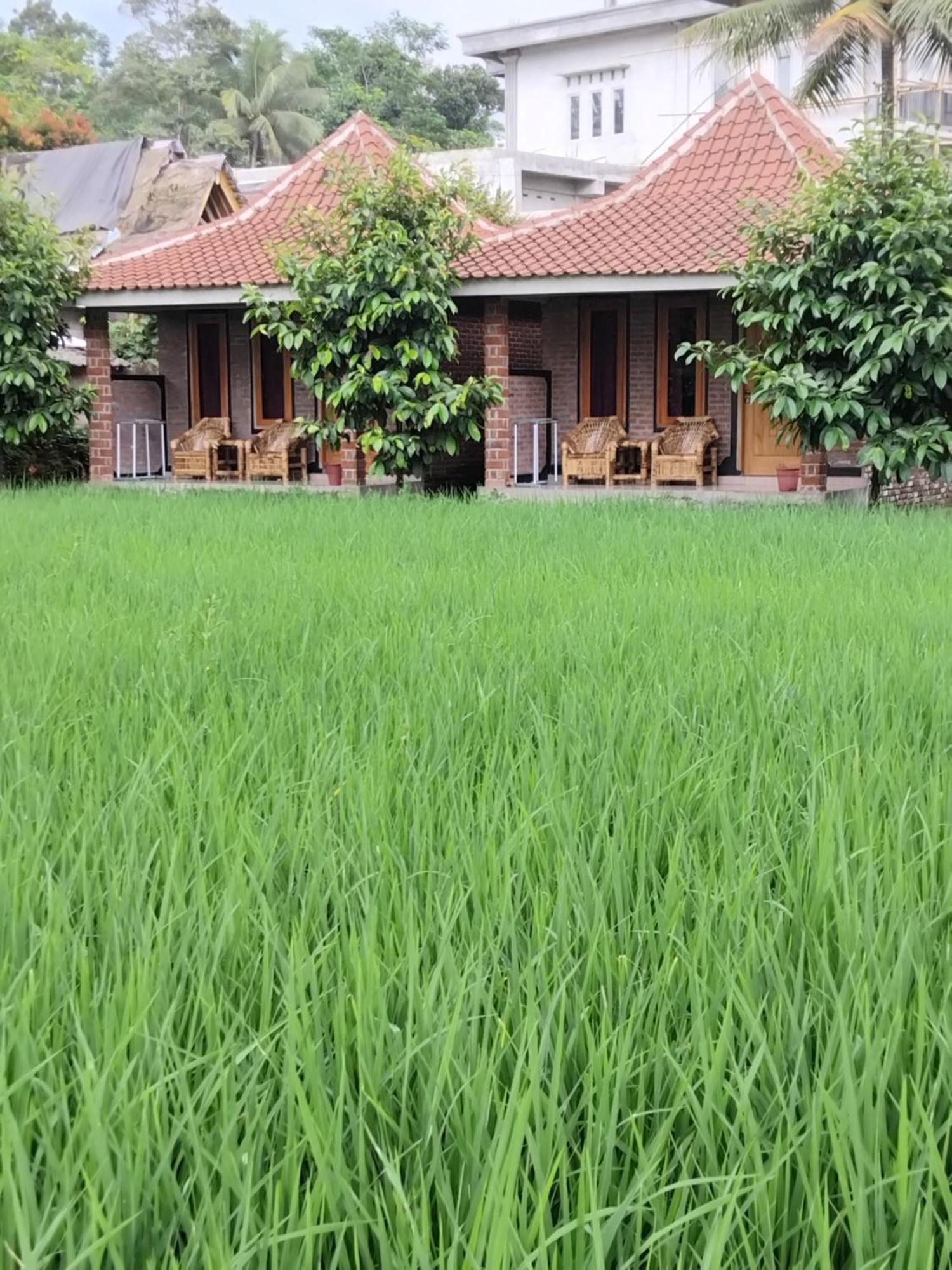 Tereng Wilis Bungalows Tetebatu Exteriér fotografie