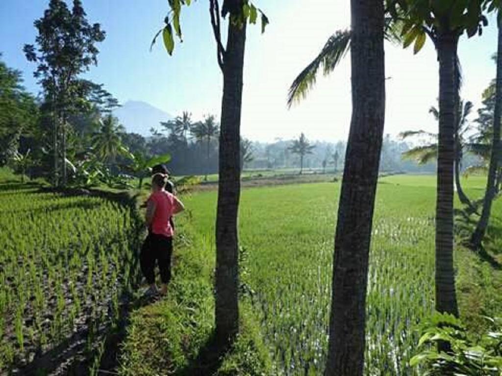 Tereng Wilis Bungalows Tetebatu Exteriér fotografie