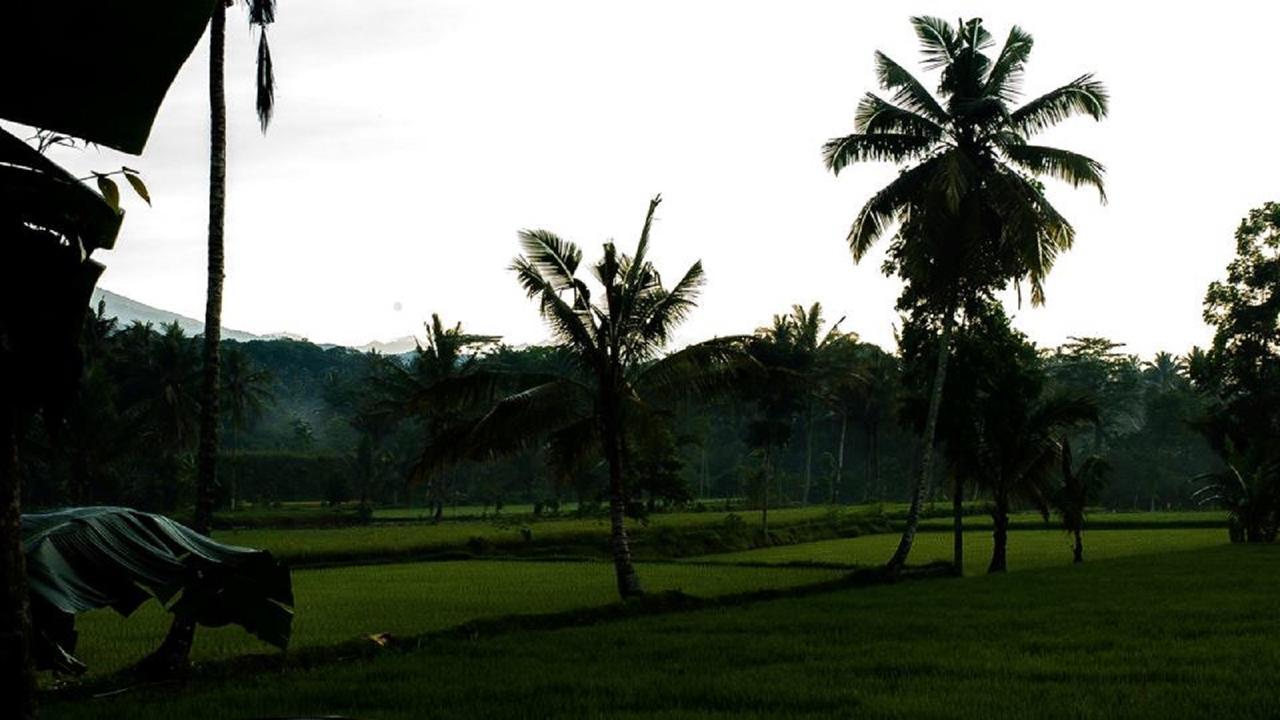 Tereng Wilis Bungalows Tetebatu Exteriér fotografie