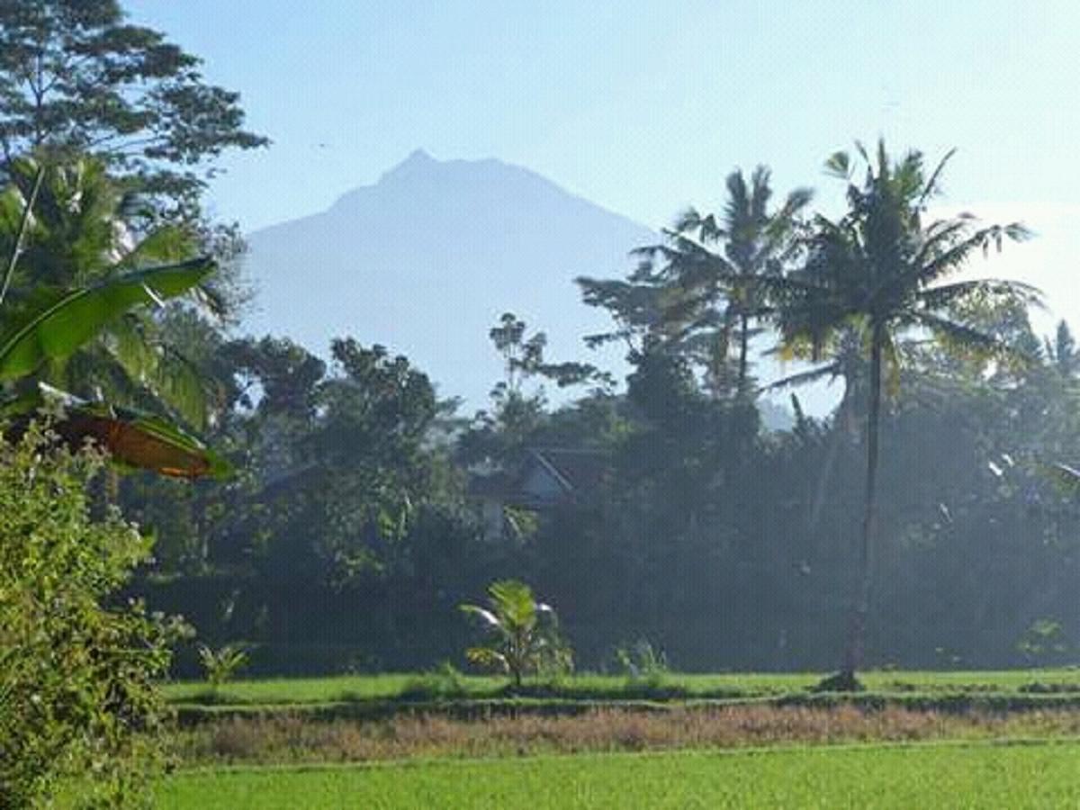 Tereng Wilis Bungalows Tetebatu Exteriér fotografie