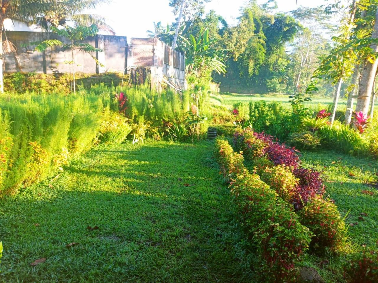 Tereng Wilis Bungalows Tetebatu Exteriér fotografie