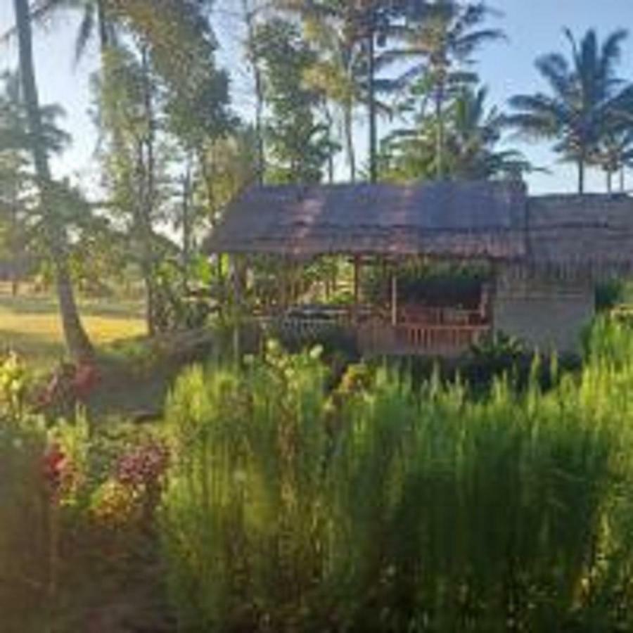 Tereng Wilis Bungalows Tetebatu Exteriér fotografie